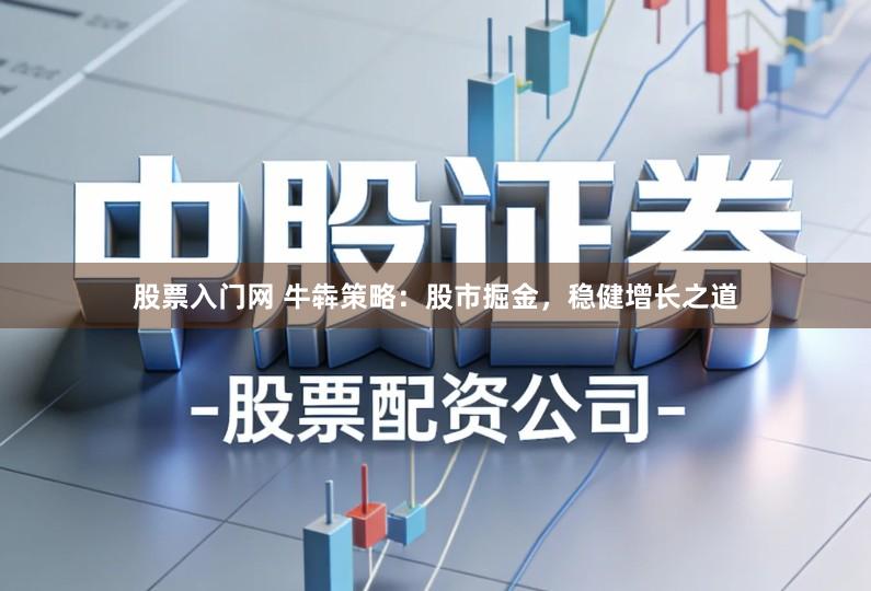 股票入门网 牛犇策略：股市掘金，稳健增长之道