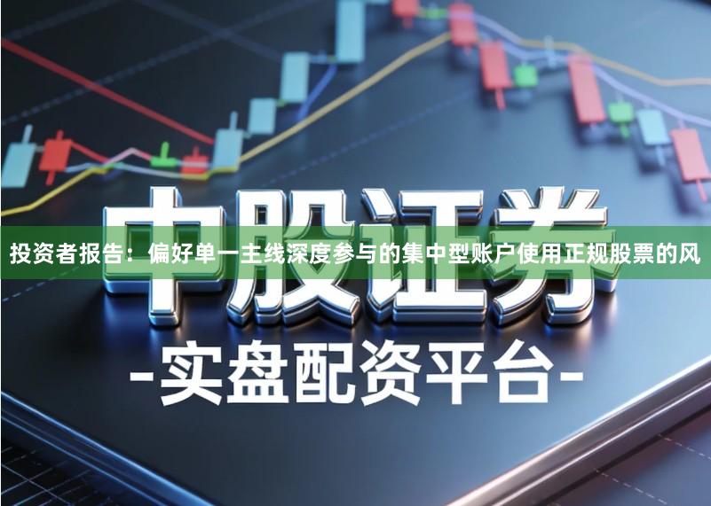 投资者报告：偏好单一主线深度参与的集中型账户使用正规股票的风