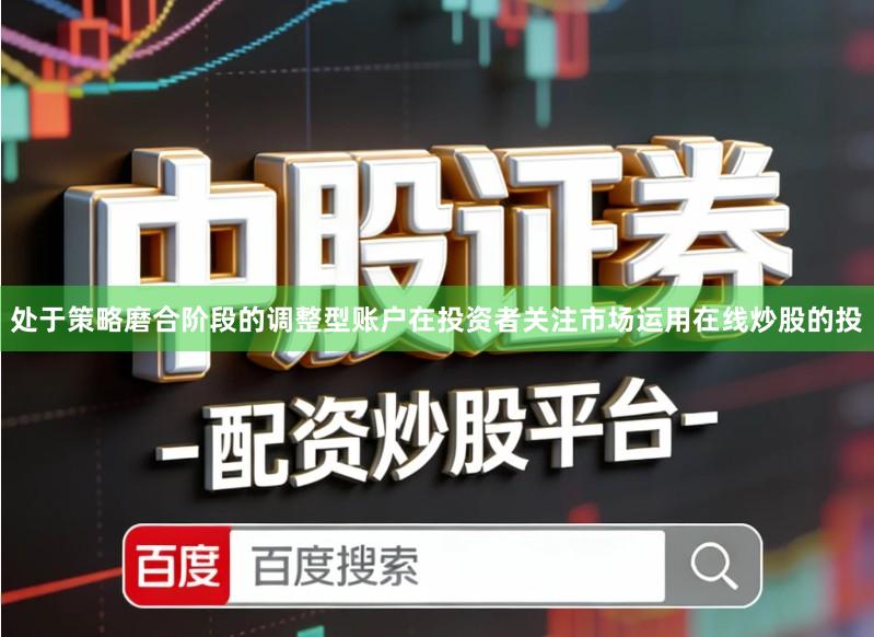 处于策略磨合阶段的调整型账户在投资者关注市场运用在线炒股的投